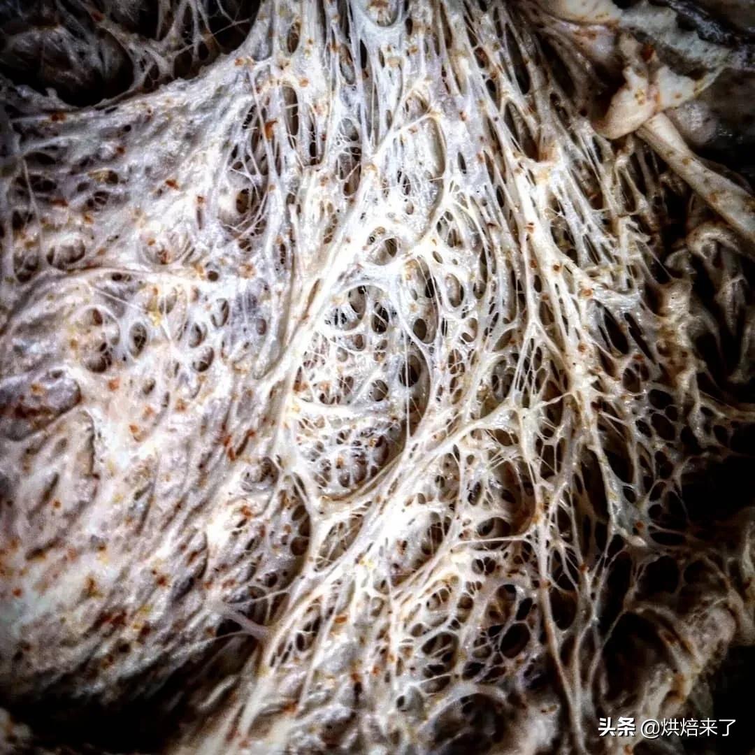 防止面包发霉的方法有哪一些呢,面包发霉最快的办法