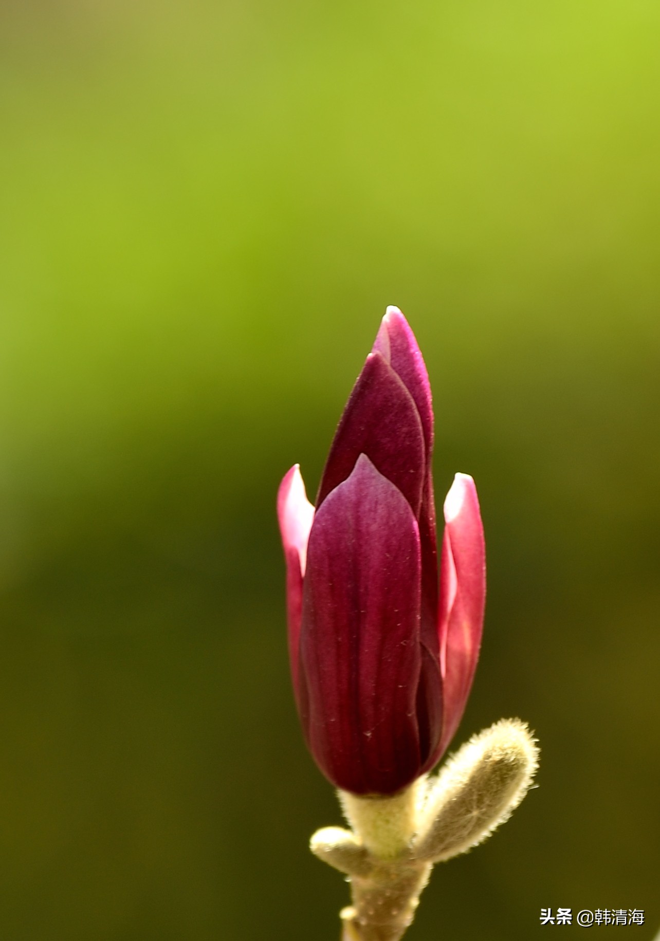天津南开水畔花园洋房,天津南开区水畔花园