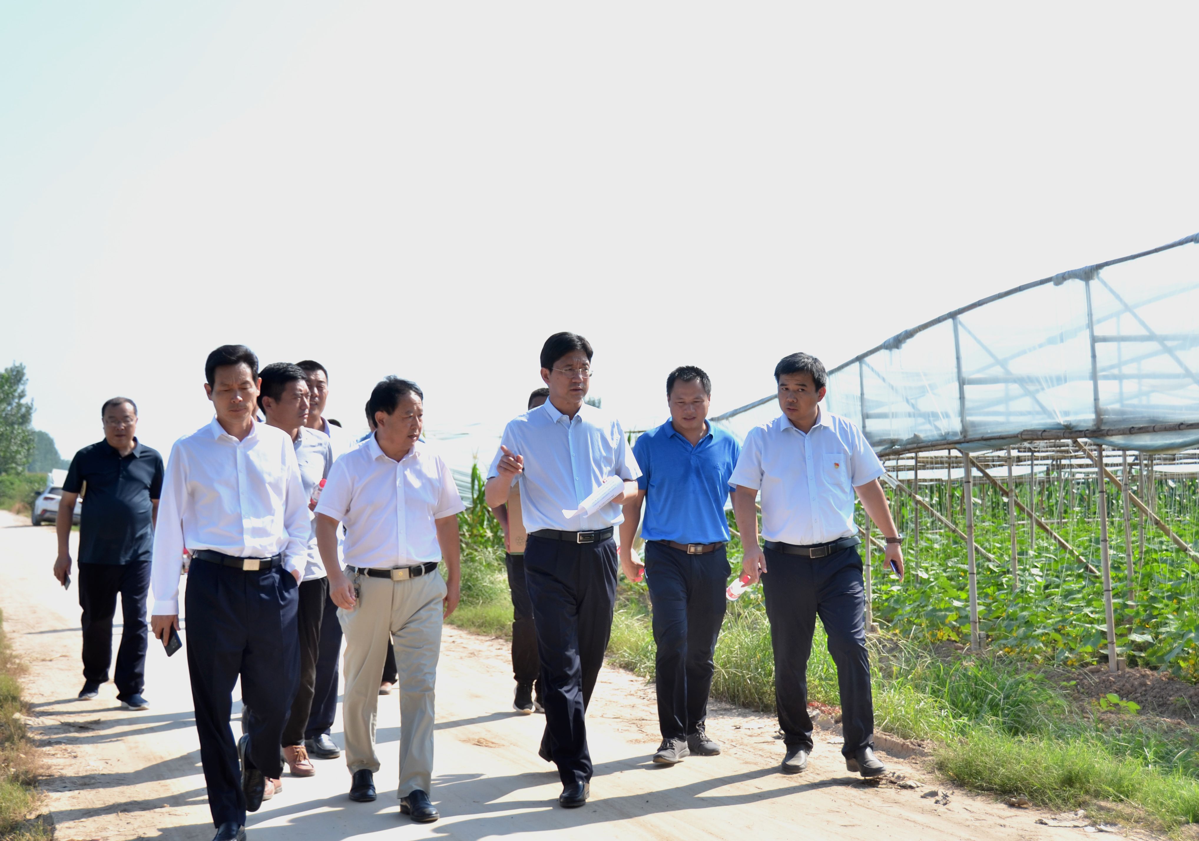 遍看桐丘春潮暖——扶沟县脱贫攻坚完美收官