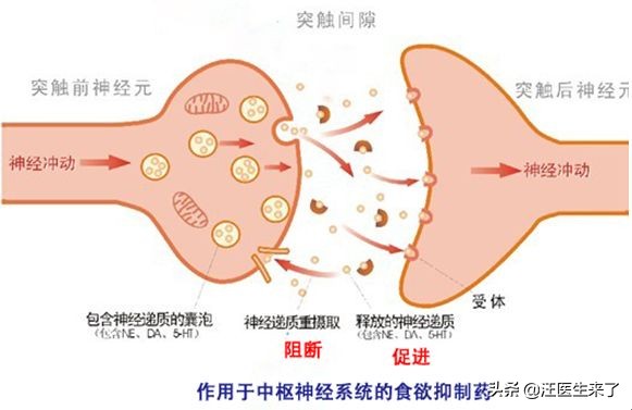 减肥瘦身药副作用,减肥如何降体脂率最快最有效