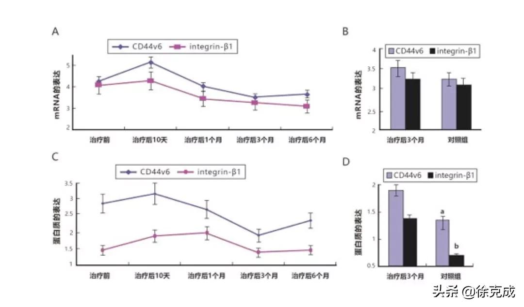 癌症的治疗与预防讲座的心得体会,癌症治疗的最终走向