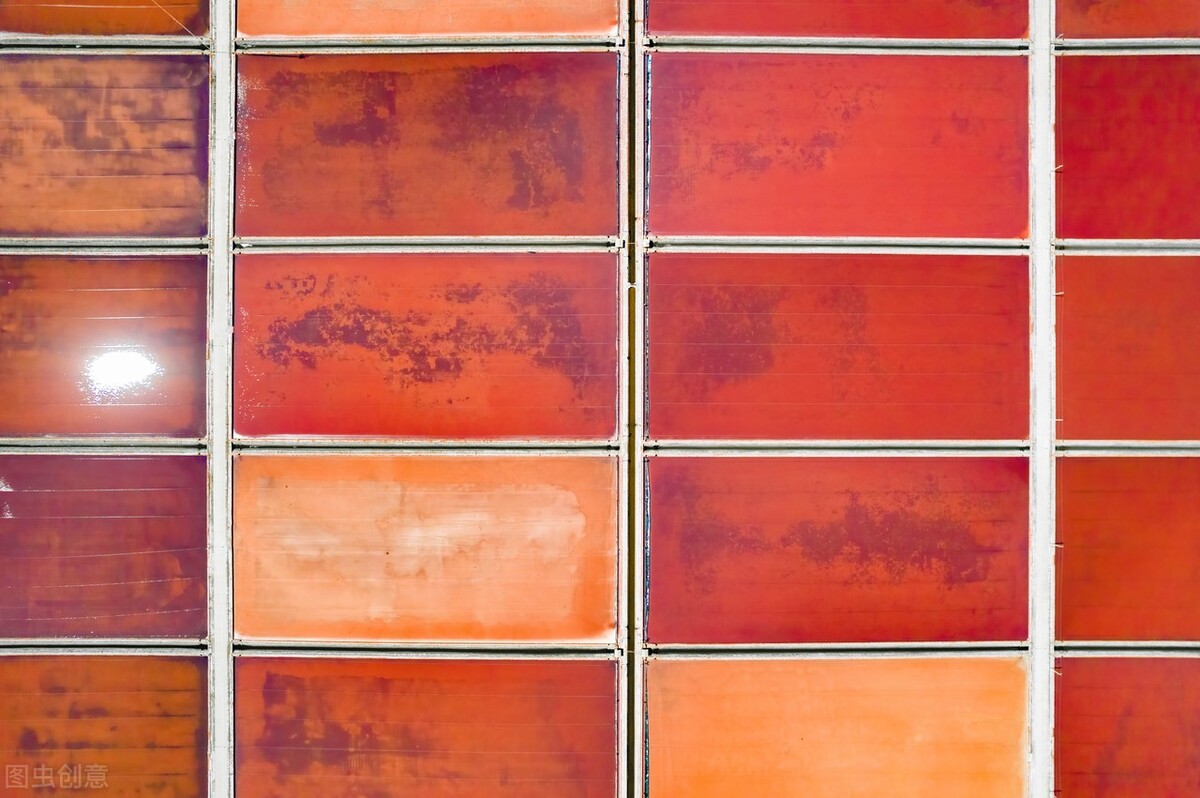 10个关于天津的冷知识你知道几个,天津的冷知识100条