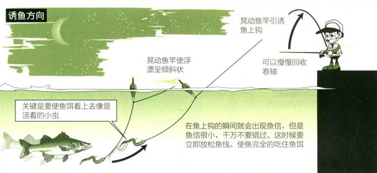「日本专业矶钓书籍」海鲈矶钓技巧浮游矶钓鲈鱼