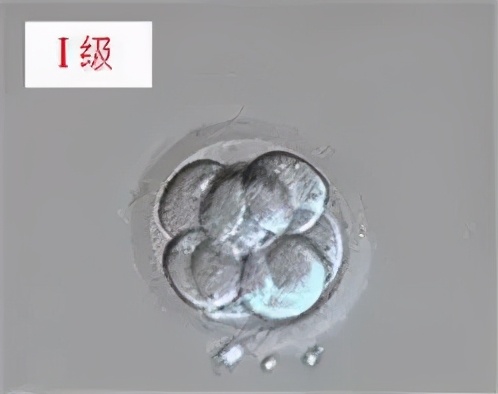 胚胎评级4bc什么意思,胚胎以什么标准评级