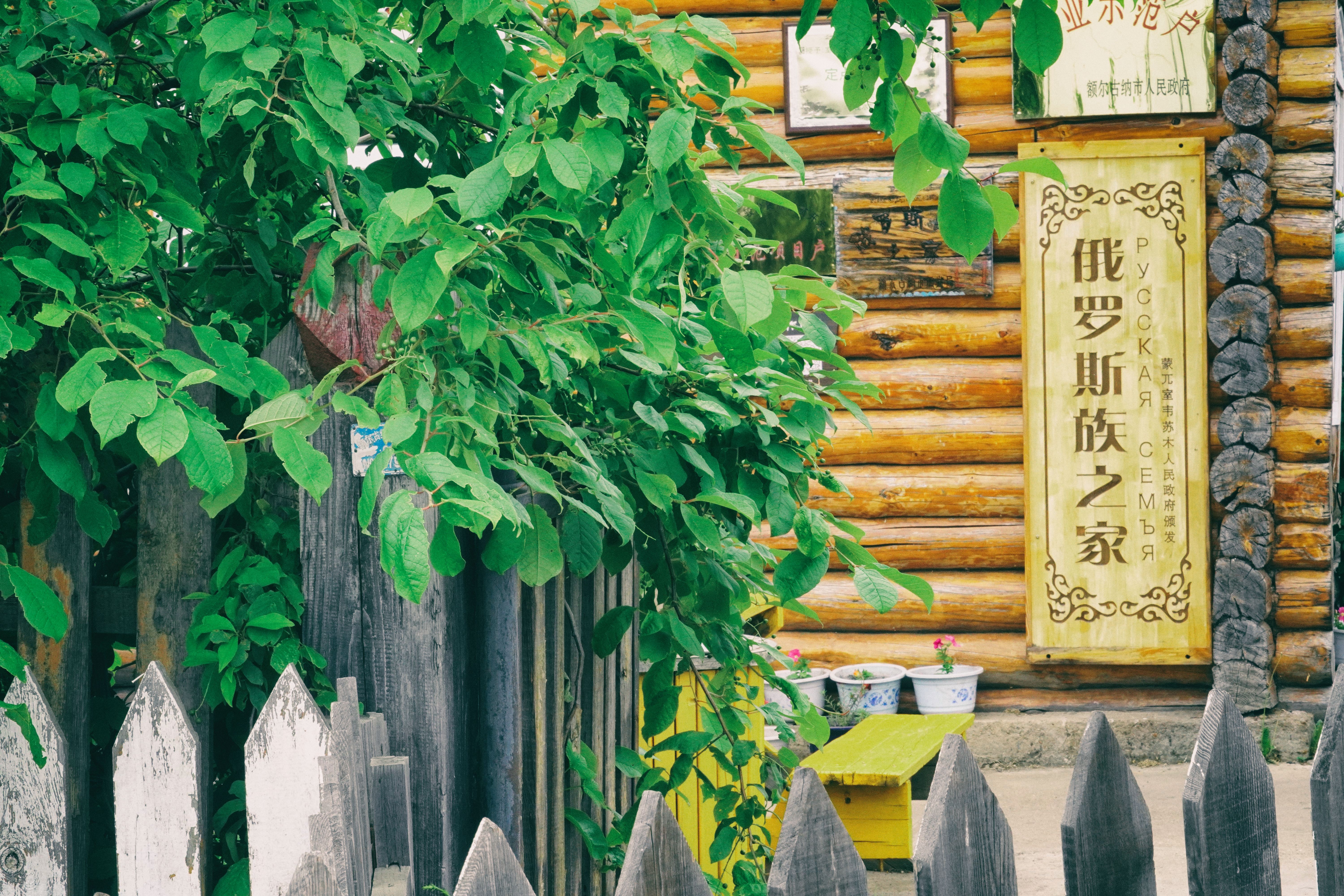 南方人自驾来东北是啥体验,15天一万公里的新疆感受