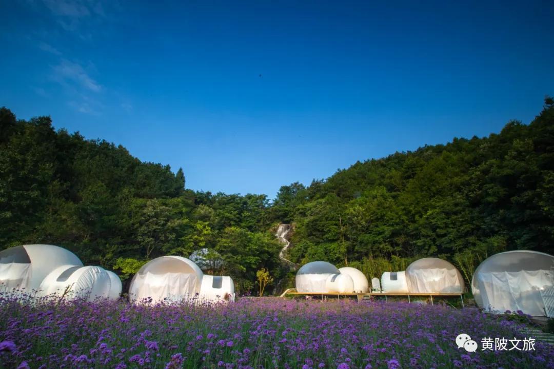 黄陂印象桃源民宿,黄陂区木兰花乡印象酒店