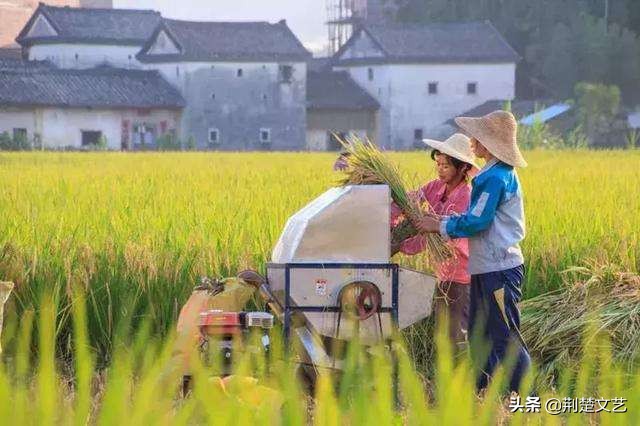 原生态山村农家,山村农家木瓦房