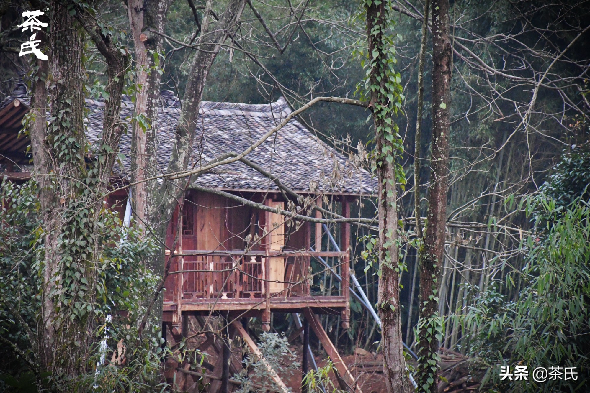 山居生活借山而居,徐州观心山居