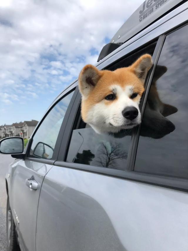 江南天池新一景,江南天池值吗