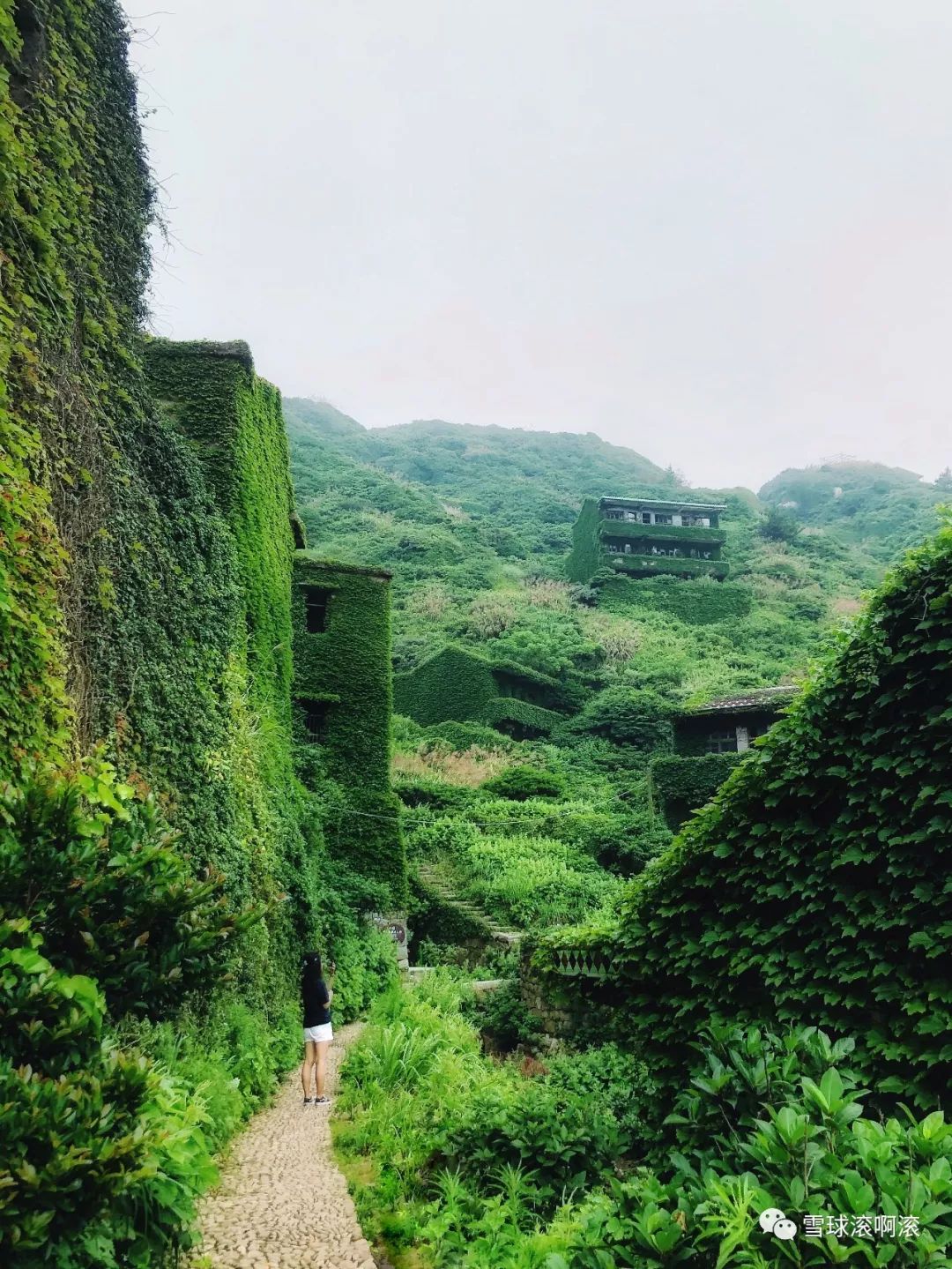 枸杞岛——六壮士崩溃之旅