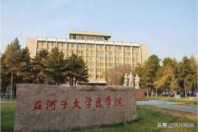 上榜啦！*疆新**鸟市和石市即将被国家命名！未来发展不可估量