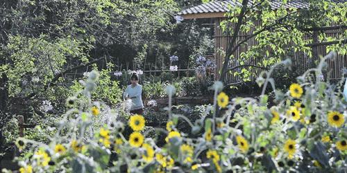番茄锅酸甜番茄,超浓郁的番茄火锅吃一次就爱上了
