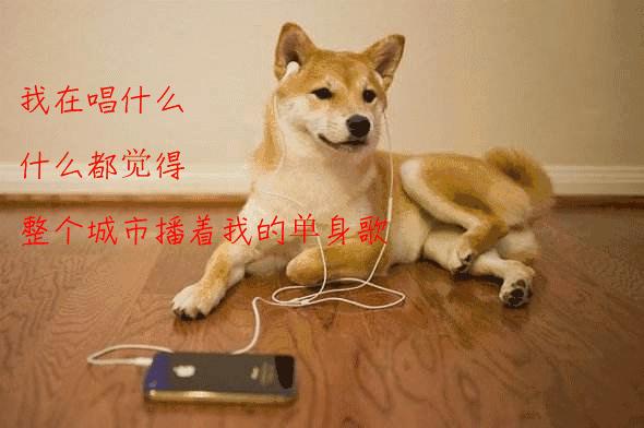 客厅最实用的听歌蓝牙音箱,女生独居推荐蓝牙音箱