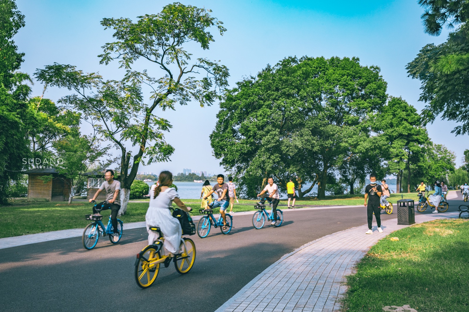 武汉东湖ufo事件,武汉东湖神秘事件