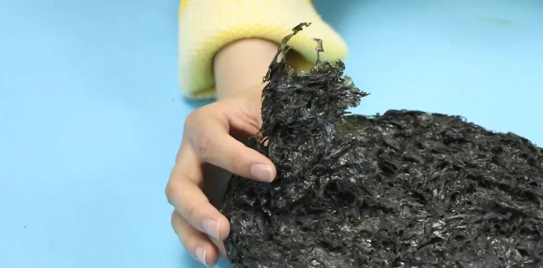 紫菜真假鉴定小窍门,紫菜真假的图片大全