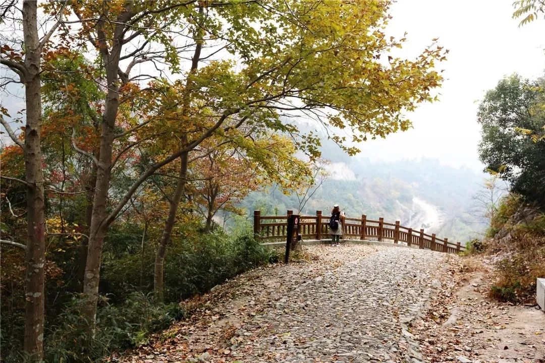 东钱湖徒步路线哪条最美,东钱湖附近有哪些免费古道