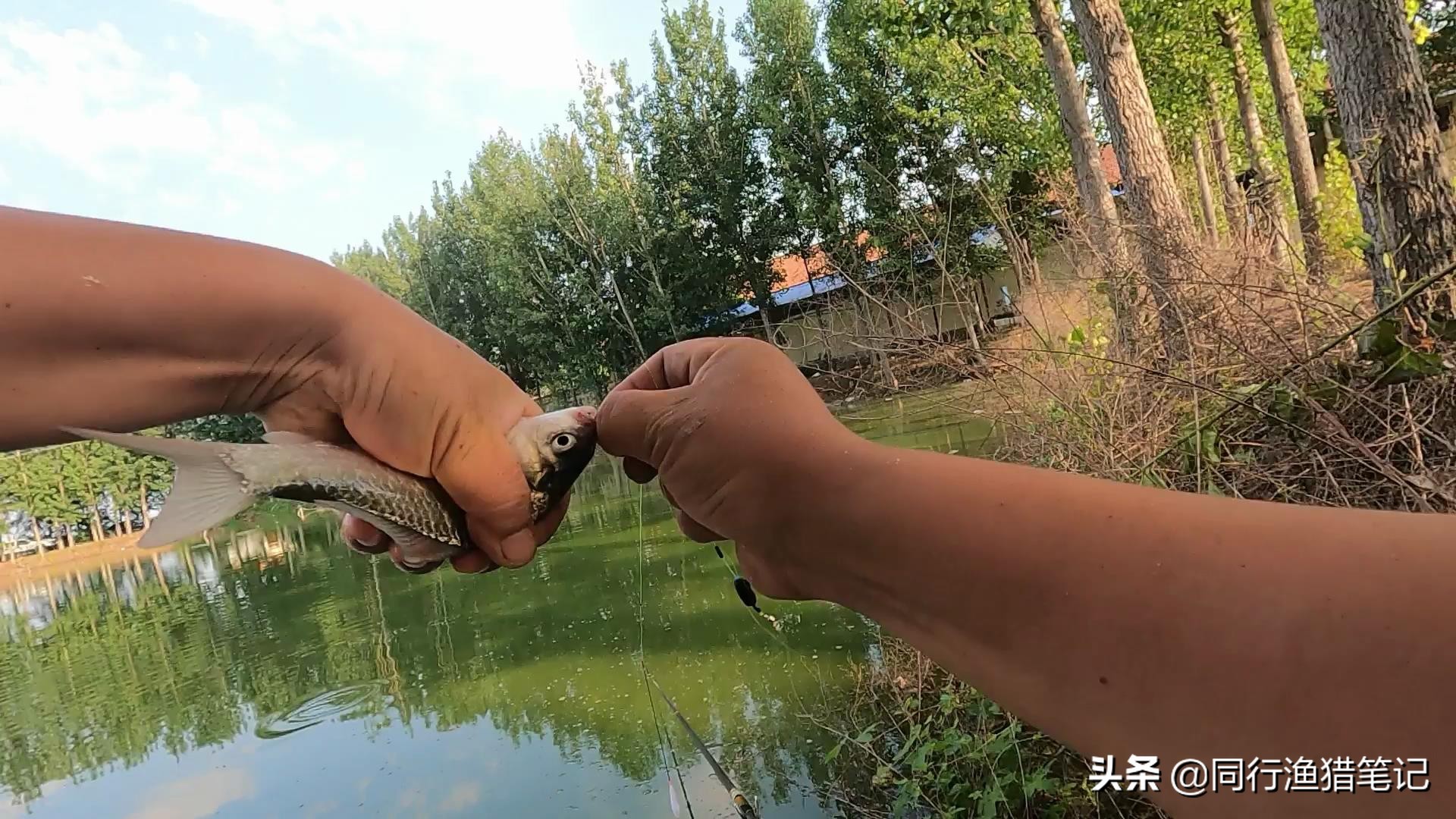 这个小玩意儿，治好了困扰我多年的钓鱼综合症，网友：这法子绝了