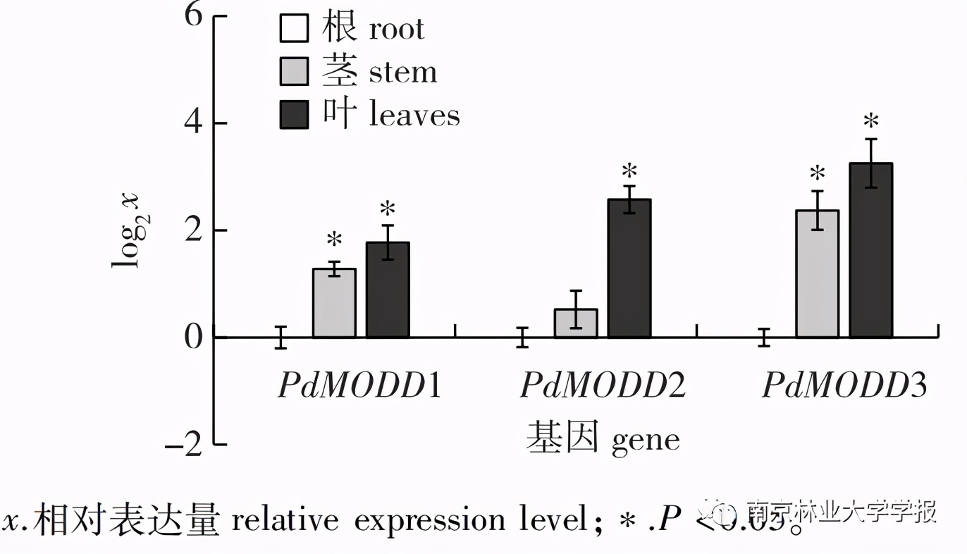 论文推荐||欧美杨PdMODD基因克隆与表达特性分析
