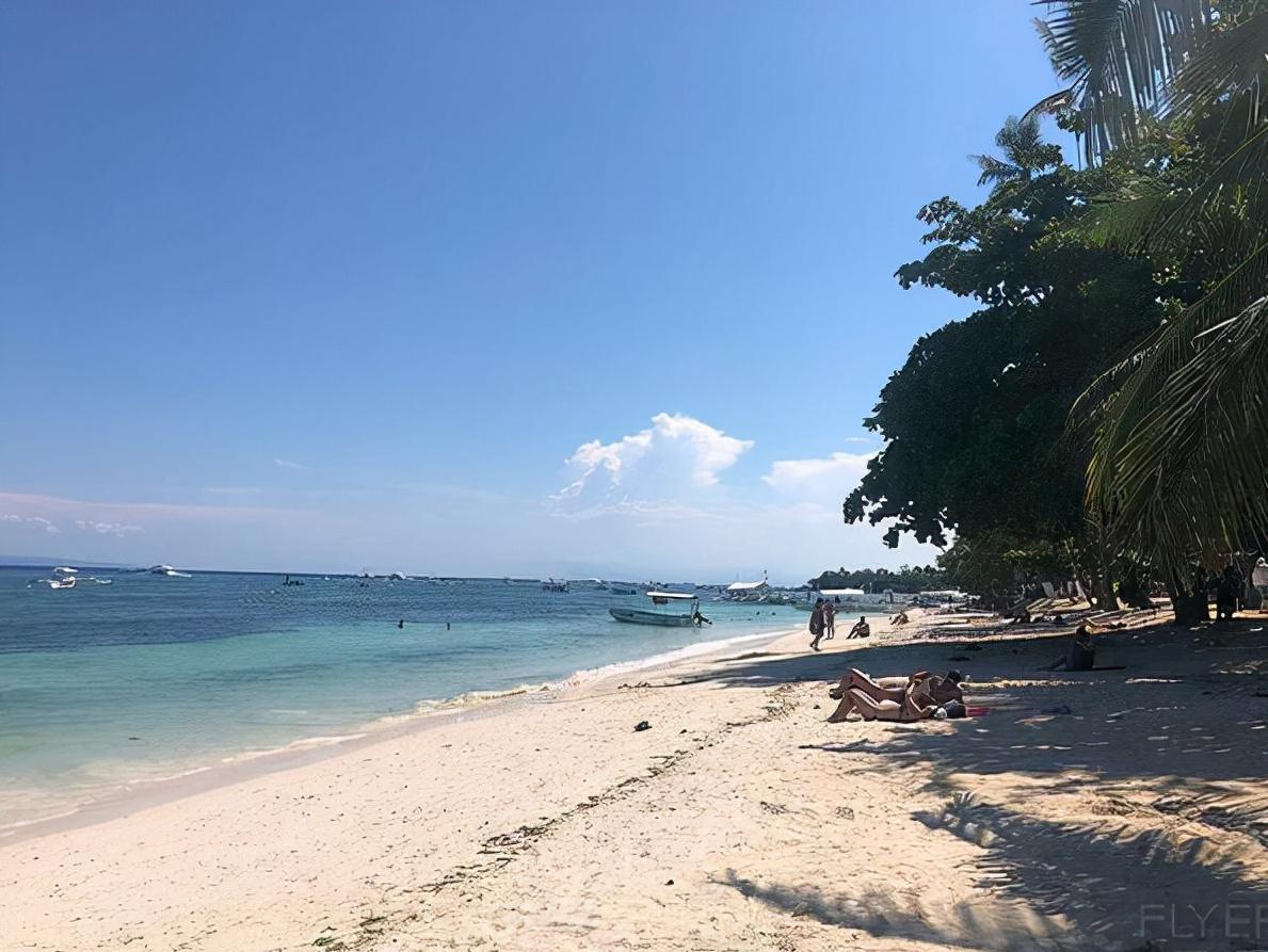 宿务酒店订一日游,宿务岛酒店推荐