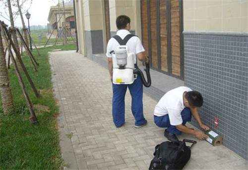 怎么灭白蚁最彻底呢,怎么灭白蚁最有效