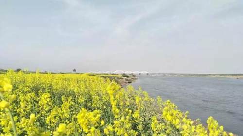 西安的夏天是什么颜色的,西安的春天有多美