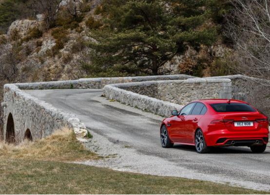 面对这样的“小豹子”,您还能管好自己的钱包吗?