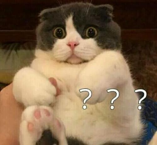 补牙太贵了五百块,补牙有300多和200多的差别在哪里