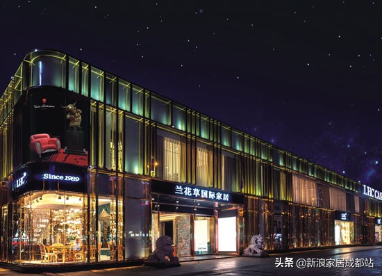 兰花草店铺,兰花草店