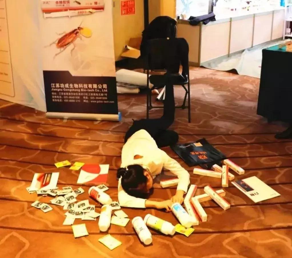 科学简单的方法解决蟑螂,科学治理蟑螂步骤