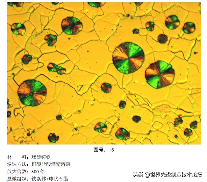 奥氏体珠光体,马氏体奥氏体珠光体