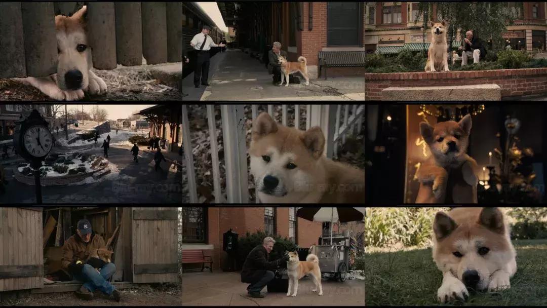 终极玩乐指南:收下5大秘笈,陪孩子玩转感恩节!(附资源)