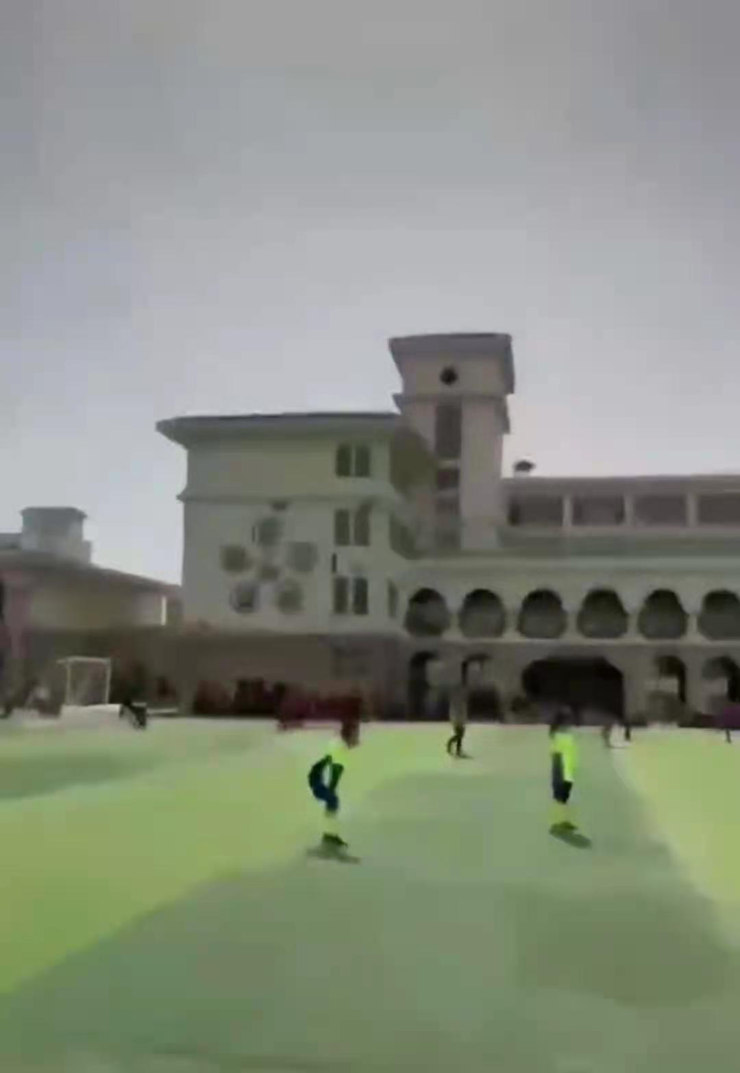 男子校园喊话五分钟,男子咆哮呐喊式助威球赛