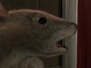 有生之年能看到原神完结吗,有生之年还可以看到合体吗