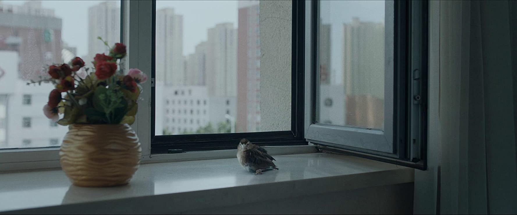 电影别告诉她短片,电影别告诉她创作