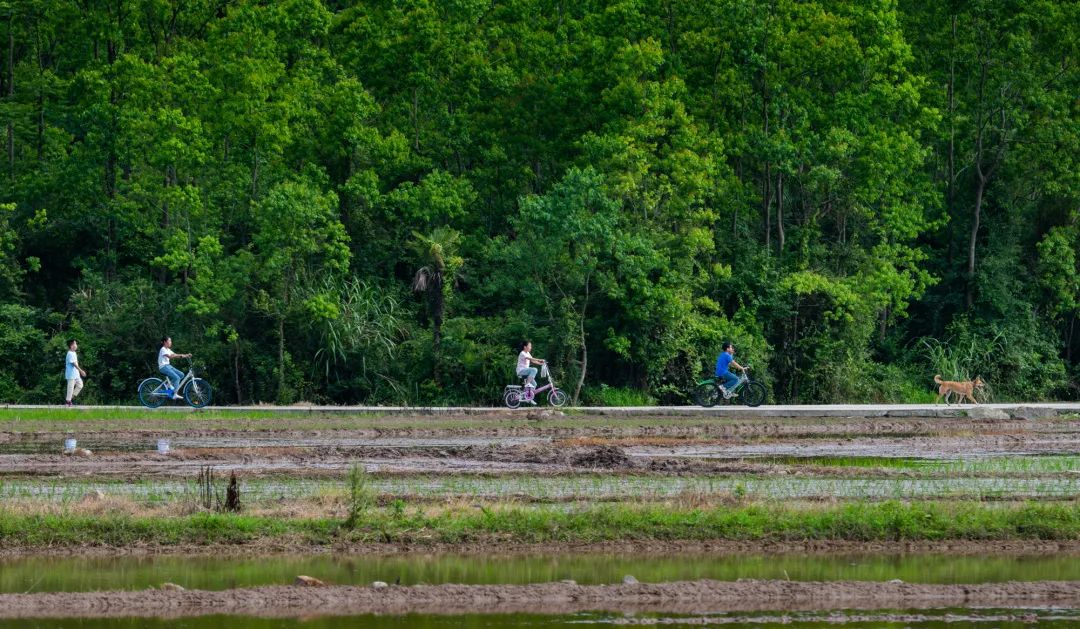 江南最美温泉排名,中国十大温泉旅游胜地