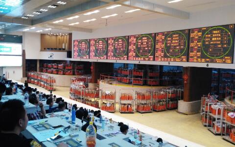 花从斗南来:每朵鲜花背后的故事