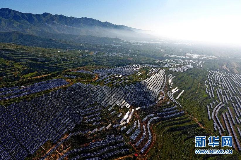 芮城大小事情,芮城现象
