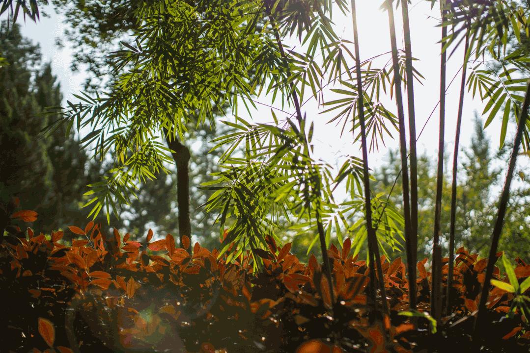 住进风景里的酒店,住进森系酒店