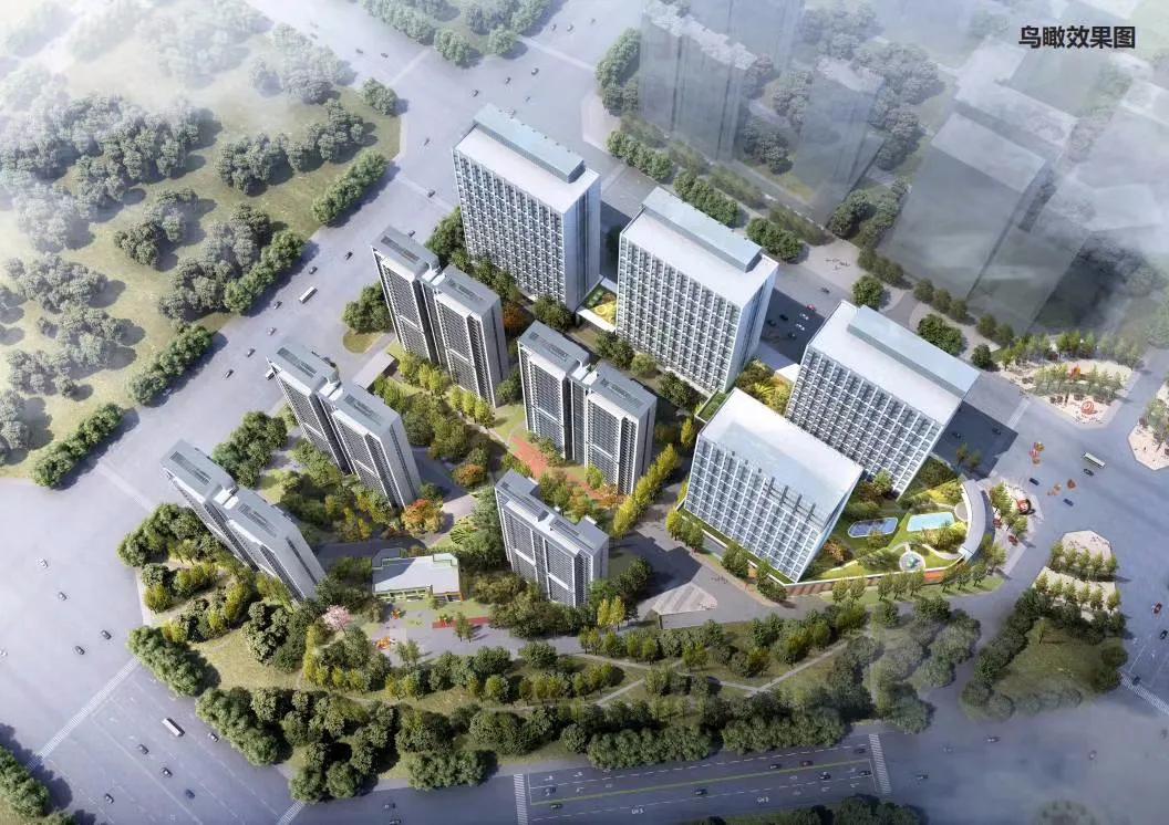 白沙组团最新进展情况,白沙组团核心区域