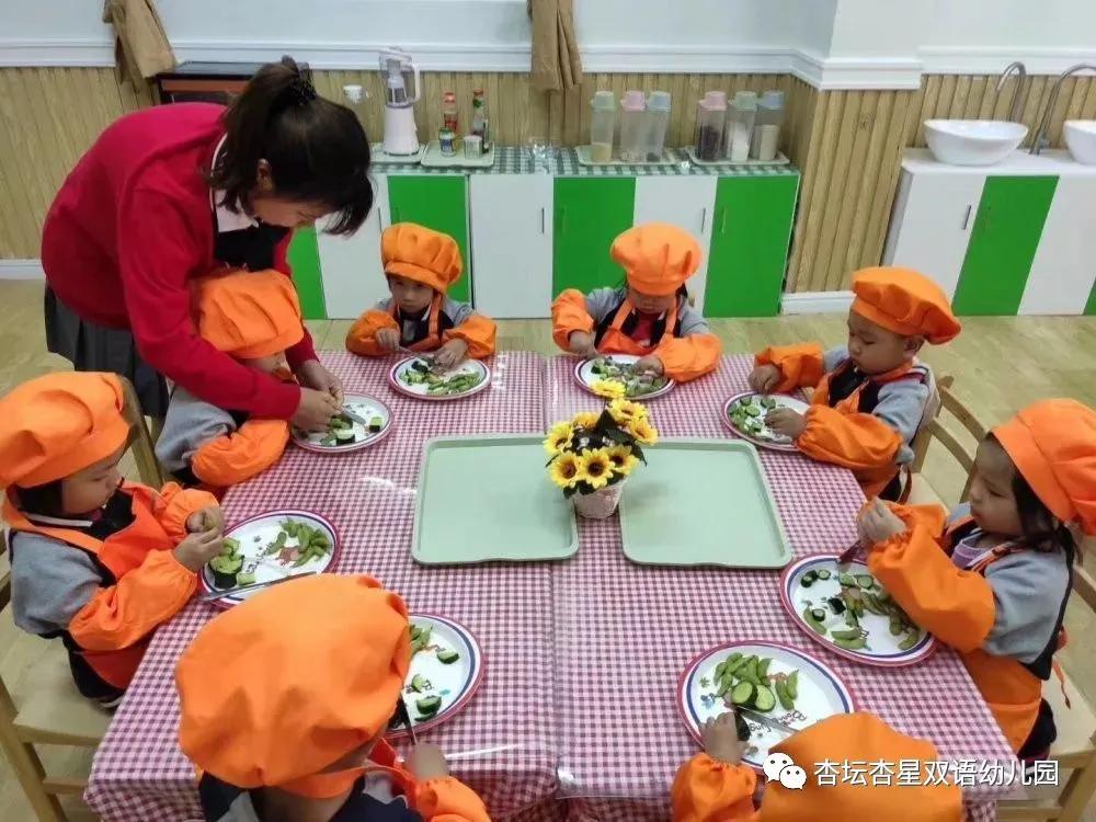 双语幼儿园报名指南,西山区双语幼儿园报名