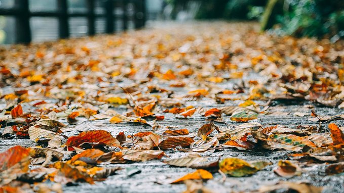 一起游玩泰顺,小众旅游泰顺