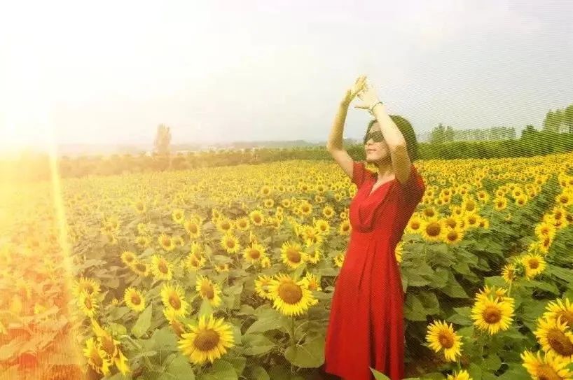 许昌必游,许昌必游景点推荐理由简短