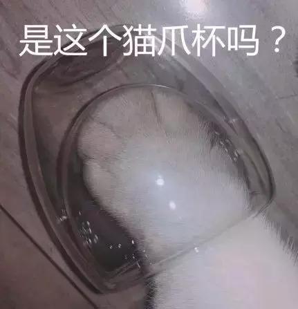 一个杯子漫天要价,一个杯子卖高价