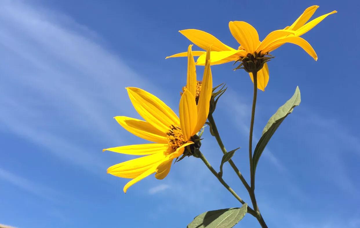 手拍世界摄影网,手拍世界完整版视频