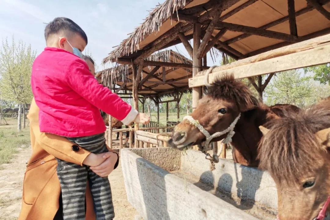 祥和庄园4月29日开园啦!向往的生活从这里开始