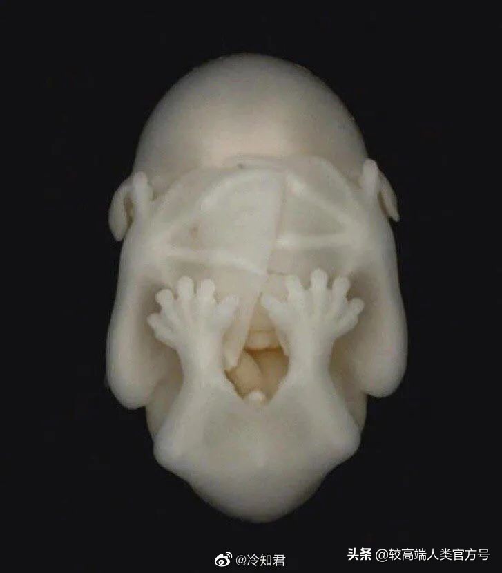 究竟有多少人还不知道，手机可以当“称”用？