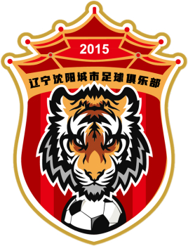 全国足球城市排名,沈阳中国足球阵容名单