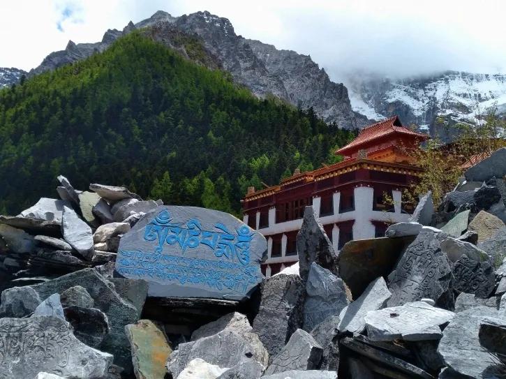 稻城亚丁春天视频,稻城亚丁春天风景