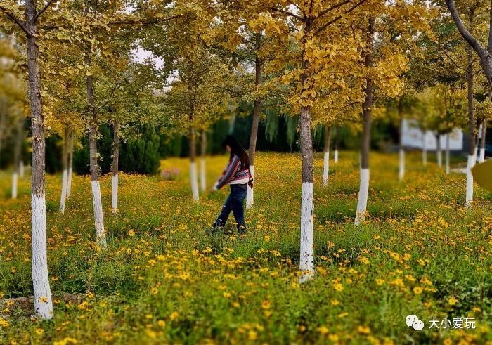 亲子游玩地点推荐北京亦庄,亦庄周末带娃好去处