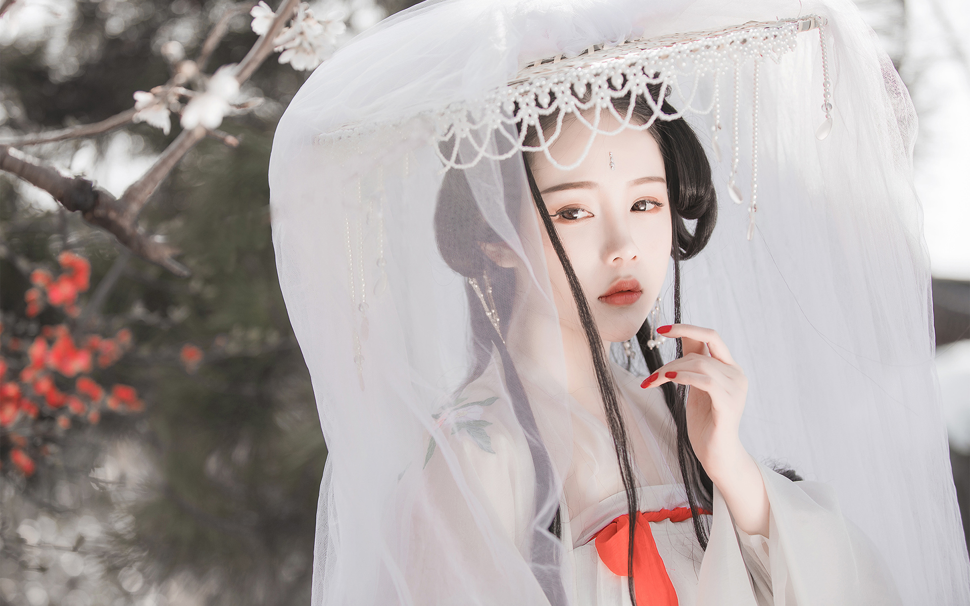 美人泪相思劫,美人画卷